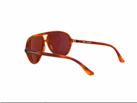 Occhiali da sole Revo Uomo PHOENIX - PHOENIX